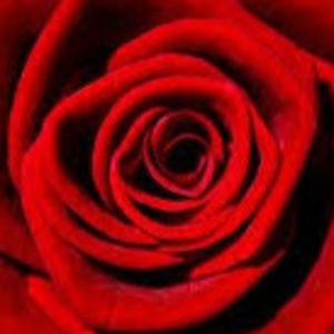 Meet your Posher, Katja